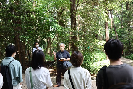 記念講堂横の杉の森。豊かな緑が生き物の生息に良い環境で、東京都の準絶滅危惧種に指定されているヒグラシの鳴き声が観測されている