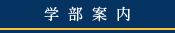 学部案内