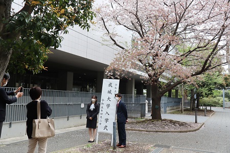 桜の下で記念撮影