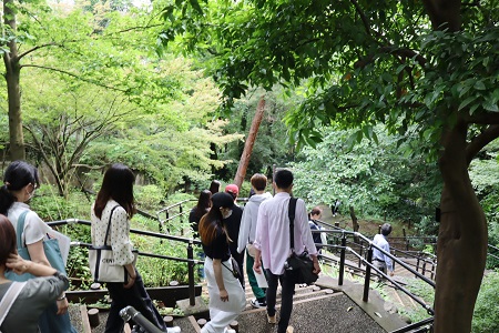 成城四丁目緑地の遊歩道を通り、国分寺崖線の斜面を一気に下ります