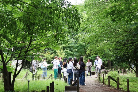 国分寺崖線上の豊かな自然を残すみつ池緑地の開放部で、中川氏の説明を受けます